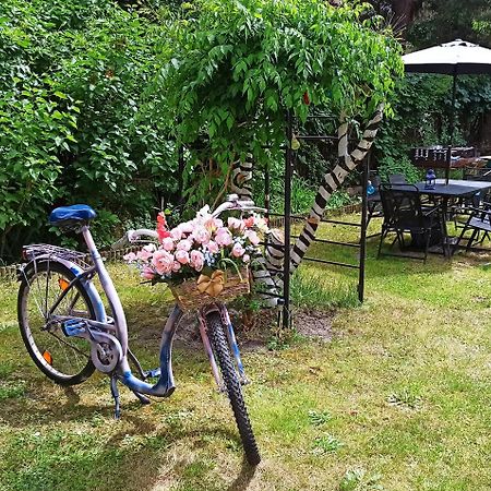 Willa Retro Hostel Krakow Ngoại thất bức ảnh