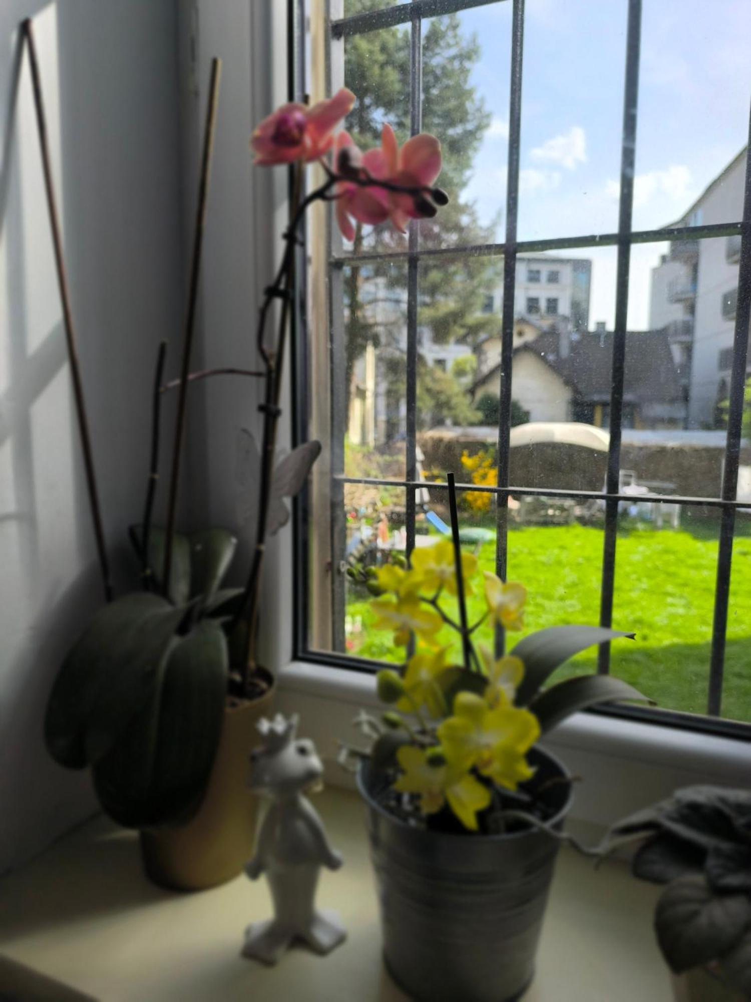 Willa Retro Hostel Krakow Ngoại thất bức ảnh
